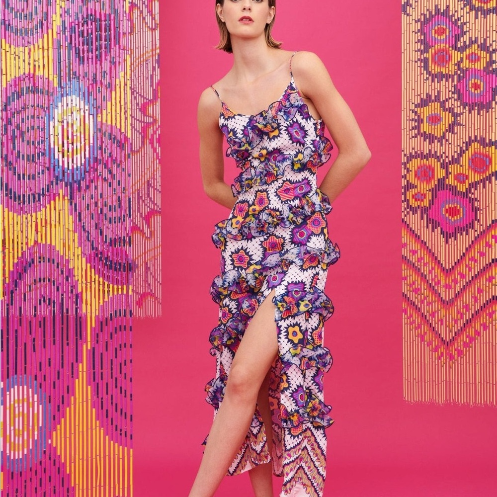 CeliaB Hum Dress! NWT!